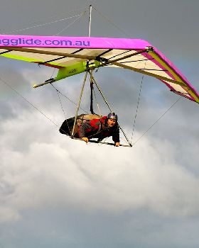 Free as a bird