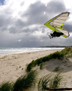 Matty dune gooning again