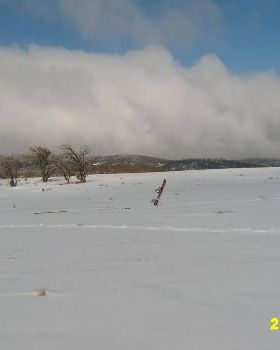 Sample of open country on plateau above mt Selwyn lifts