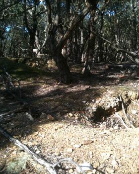 diggings