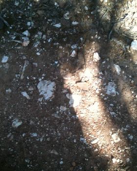 floor around shaft