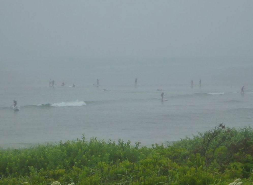 Crappy, foggy day at SUPville