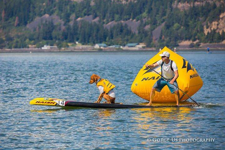 10645201 924729287554185 465597940920654504 n zps2497885d
