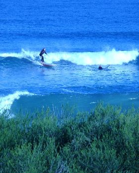 Surfs Up 2