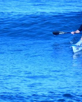 Surfs Up 2