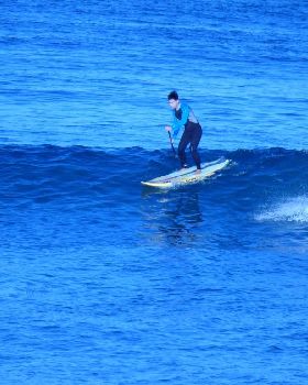 Surfs Up 2