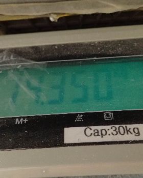 PB060002 (1)