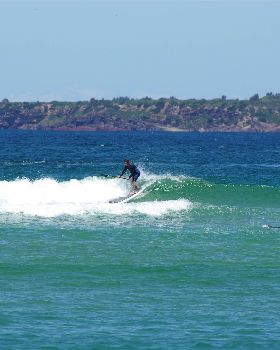 Stand Up Paddle