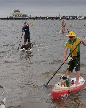 Pet Race - 3 of 8