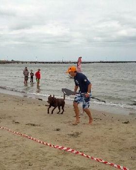 Pet Race - 8 of 8
