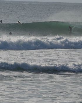 DSC09039[1]
