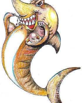 shark