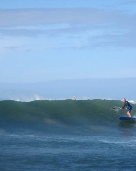 Mick Mc yesterday on the Potato Chip