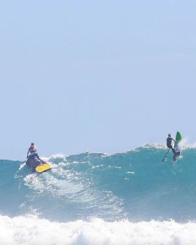 VenomCurrumbinJarrodHoldsworth
