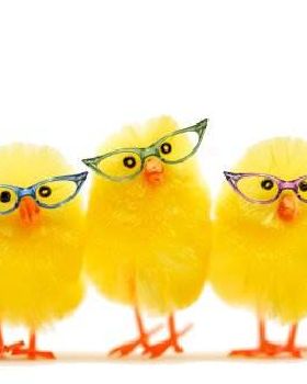 chicks