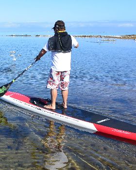 Stand Up Paddle