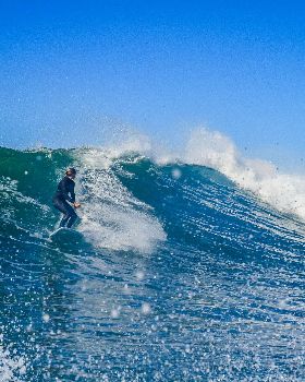 Scotts comp-285