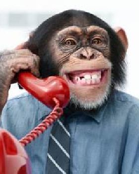 monkey-customer-service