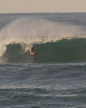 TC longy Bomby 2