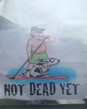 Stand Up Paddle