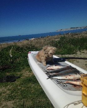 Stand Up Paddle