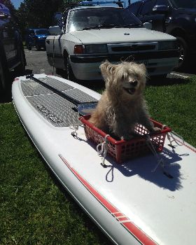 Stand Up Paddle