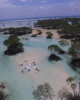 2017 Blue Planet Stand Up Paddle boards1000