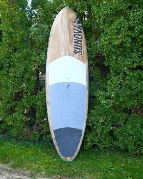 Stand Up Paddle