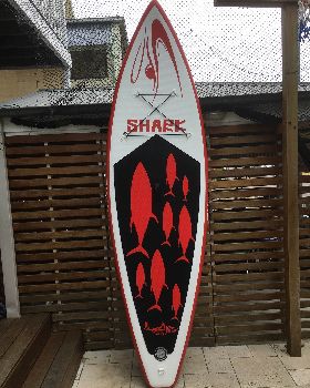 Shark mako 9"8