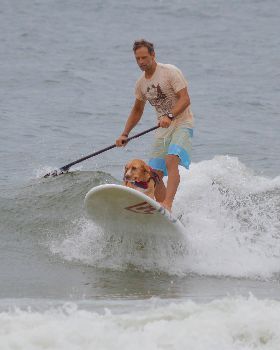 Stand Up Paddle