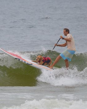 Stand Up Paddle