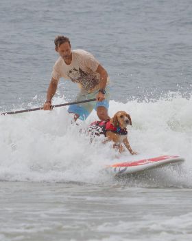 Stand Up Paddle