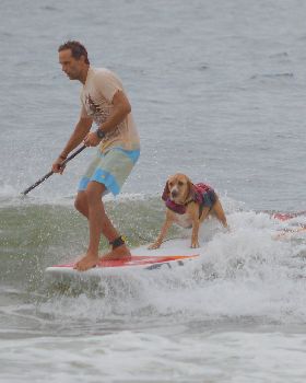 Stand Up Paddle