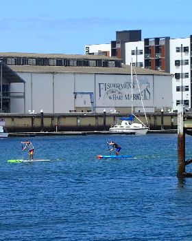 Port Adelaide SUP Sprint