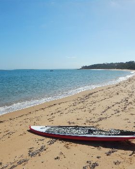 Stand Up Paddle