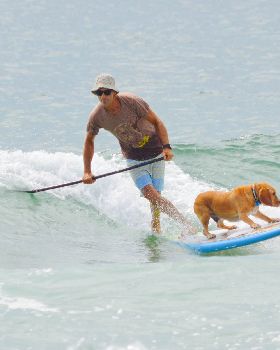 Stand Up Paddle