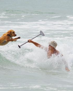 Stand Up Paddle