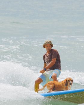 Stand Up Paddle