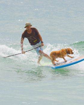 Stand Up Paddle