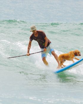 Stand Up Paddle