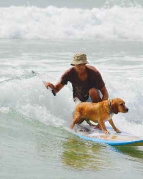 Stand Up Paddle