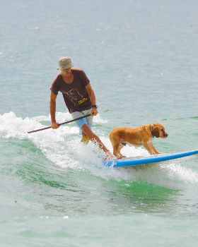 Stand Up Paddle