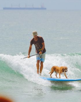 Stand Up Paddle