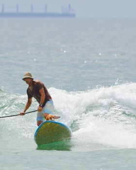 Stand Up Paddle
