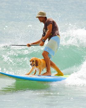 Stand Up Paddle