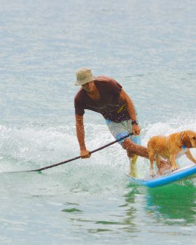Stand Up Paddle