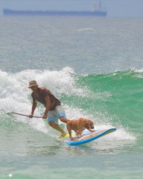 Stand Up Paddle