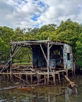 Oyster Shack