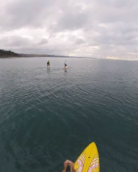 Stand Up Paddle