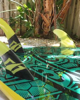 Stand Up Paddle